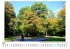 Herbststimmung im Kottenforst bei Bonn - Bild 5