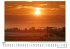 Neusiedler See - Bild 4