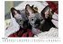 Sphynx-Katze - Bild 2