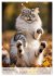 Maine Coon Kalender - Majestätische... - Bild 14