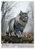 Maine Coon Kalender - Majestätische... - Bild 4