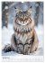 Maine Coon Kalender - Majestätische... - Bild 7