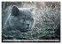 Katzenpoesie - Herzberührende Verse... - Bild 14