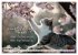 Katzenpoesie - Herzberührende Verse... - Bild 8