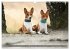 Eine Reise in die Welt der Basenjis... - Bild 9