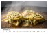 Schwäbischer Maultaschen-Kalender... - Bild 3