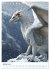 Drachen Kalender - ein Jahr mit... - Bild 7