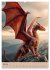 Drachen Kalender - ein Jahr mit... - Bild 13
