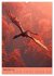 Drachen Kalender - ein Jahr mit... - Bild 15