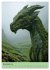 Drachen Kalender - ein Jahr mit... - Bild 4