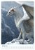 Drachen Kalender - ein Jahr mit... - Bild 7