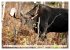 THE NORTHERN WOODLANDS MOOSE (Wall... - Bild 14