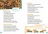 WAS IST WAS Erstes Lesen. Bienen - Bild 3