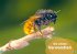 WAS IST WAS Erstes Lesen. Bienen - Bild 4