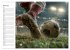 Fußball Kalender - Das Spiel unseres... - Bild 11