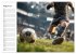 Fußball Kalender - Das Spiel unseres... - Bild 13