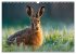 Jagd und Natur - Kalender für Jäger... - Bild 9