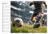 Fußball Kalender - Das Spiel unseres... - Bild 14