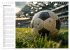 Fußball Kalender - Das Spiel unseres... - Bild 7