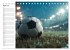 Fußball Kalender - Das Spiel unseres... - Bild 10