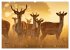 Jagd und Natur - Kalender für Jäger... - Bild 12