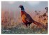 Jagd und Natur - Kalender für Jäger... - Bild 14