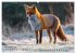 Jagd und Natur - Kalender für Jäger... - Bild 3