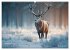 Jagd und Natur - Kalender für Jäger... - Bild 4