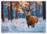 Jagd und Natur - Kalender für Jäger... - Bild 6