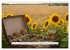 Leben in einer Box (Wandkalender 2026... - Bild 14