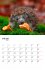 Igel 2027 Eintragkalender - Bild 2